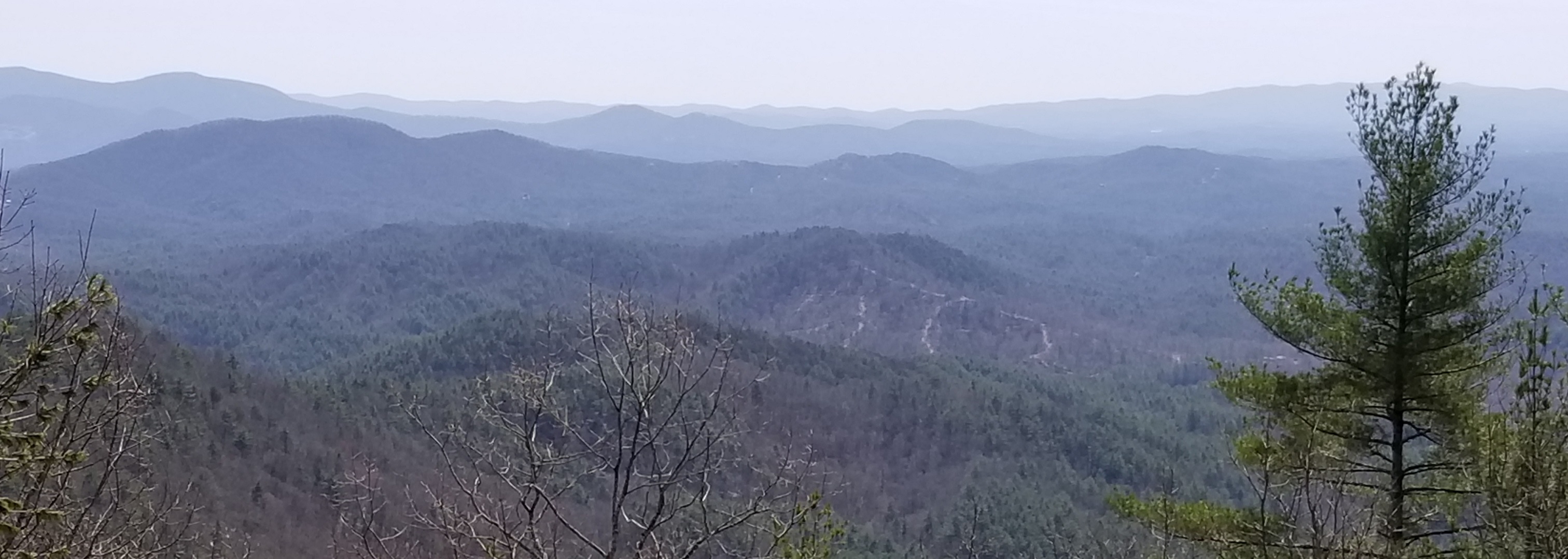The Cohutta Wilderness and the Conasauga River Trail